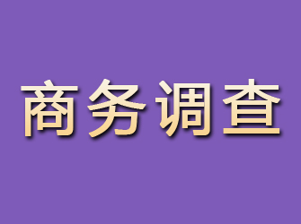 狮子山商务调查